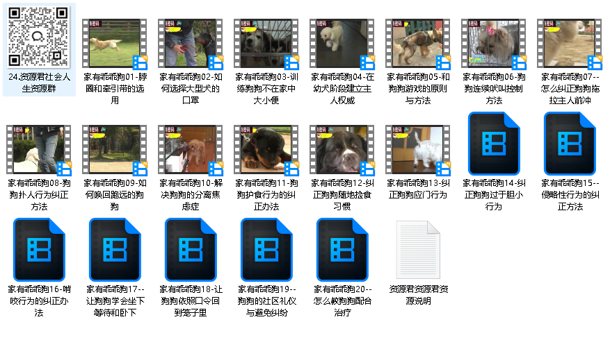 20节狗狗基本训练技巧视频教程