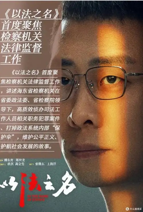 以法之名（先转存再下载以免资源丢失）