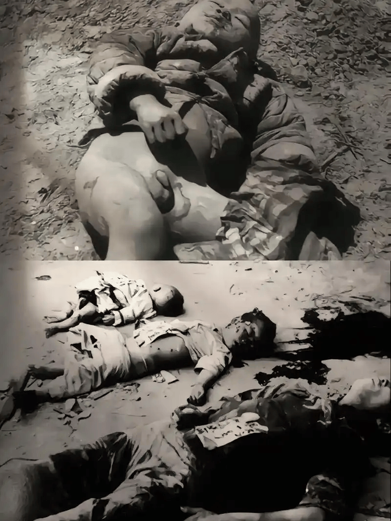 /uploadfile/202506/56d00ddc3b53a2d.png#没有设置高宽参数，将以原图输出