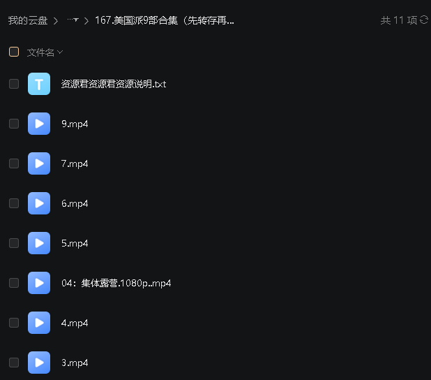 美国派9部合集（先转存再下载以免资源丢失）
