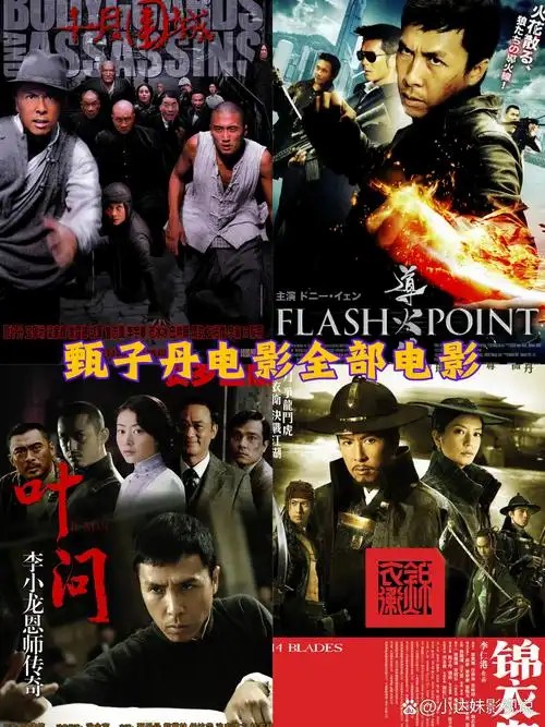 甄子丹电影15部