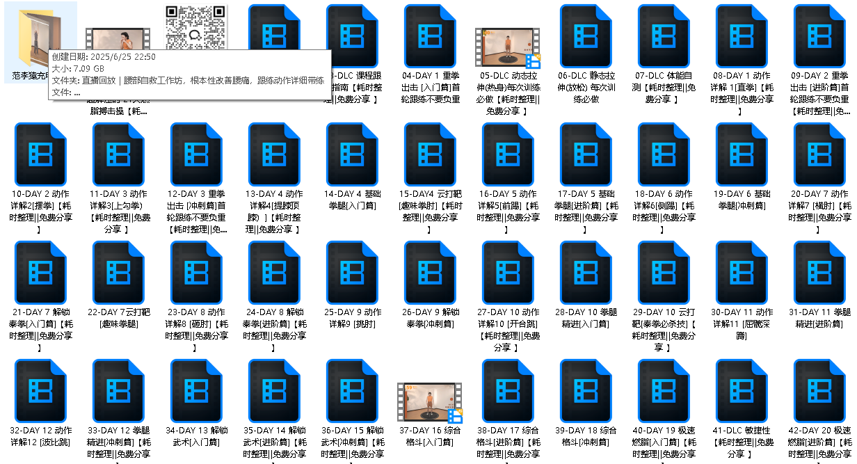范李猿居家减脂搏击操｜21天零基础训练（B站付费课程+高清视频+免费试听）（先转存再下载以免资源丢失）