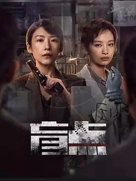 盲点（2025）全24集 4K  普通话+简中字幕(先转存再下载以免资源丢失）