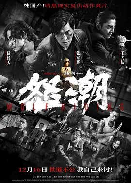 《怒潮》4K 动作 犯罪 悬疑 阮经天 张家辉(先转存再下载以免资源丢失）