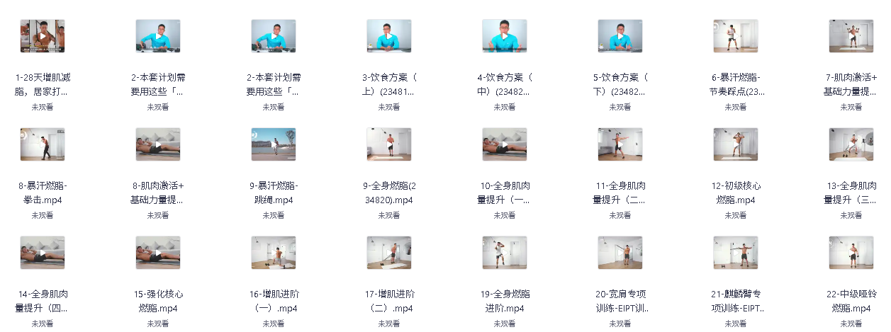 28天增肌减脂，居家打造黄金比例(先转存再下载以免资源丢失）