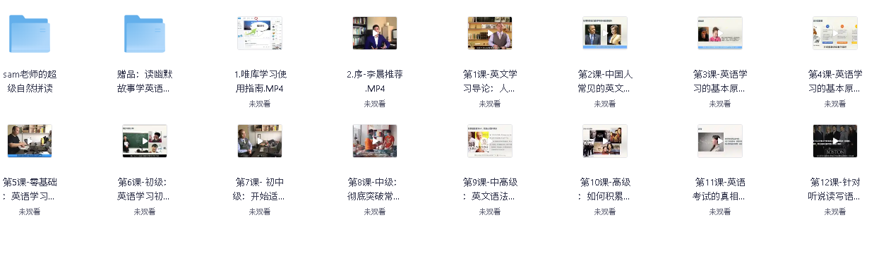 恶魔奶爸Sam《影响100万人的英语学习方法》(先转存再下载以免资源丢失）