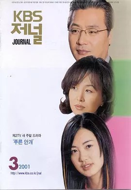蓝雾 푸른안개 (2001)20集全(先转存再下载以免资源丢失）