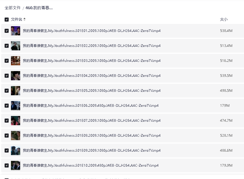 我的青春谁做主 (2009)32集全(先转存再下载以免资源丢失）