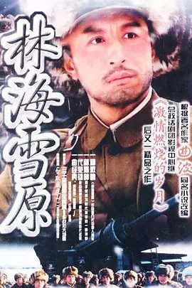 林海雪原2004年版本30集全（王洛勇 / 于洋 / 童瑶）(先转存再下载以免资源丢失）