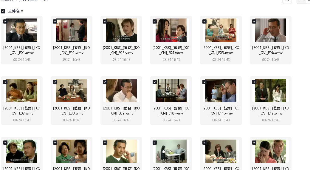 蓝雾 푸른안개 (2001)20集全(先转存再下载以免资源丢失）