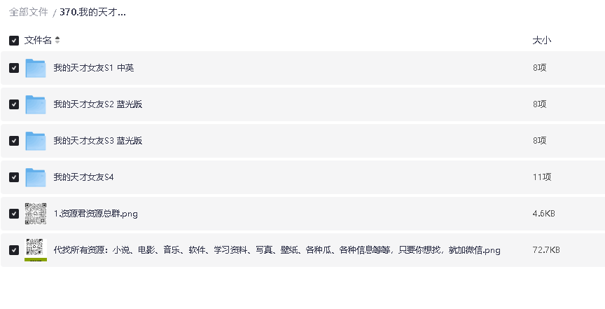 我的天才女友1-4部全集意大利语中文字幕4K+1080P(先转存再下载以免资源丢失）