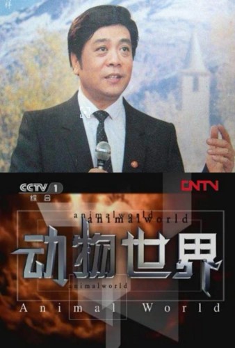 《动物世界》108全集.赵忠祥版(先转存再下载以免资源丢失）
