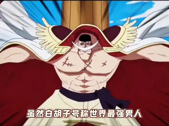 至君宝海贼王编外传第六集《英雄祭-白胡子赞歌》(先转存再下载以免资源丢失）