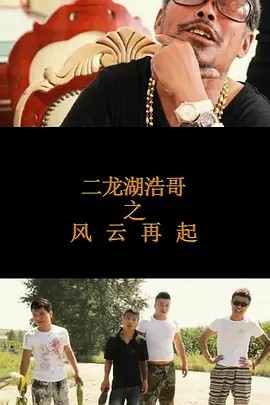 二龙湖浩哥之风云再起.2014(先转存再下载以免资源丢失）