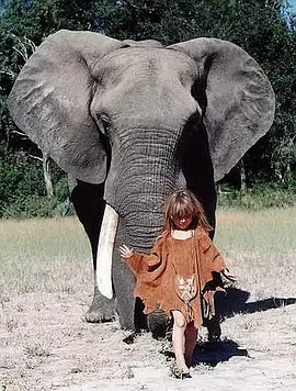 我的野生动物朋友小女孩蒂皮1997(先转存再下载以免资源丢失）