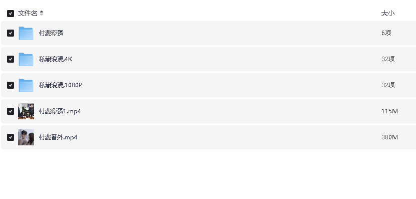 私藏浪漫 4K+1080P+付费彩蛋 全32集完结  张佳宁 魏哲鸣