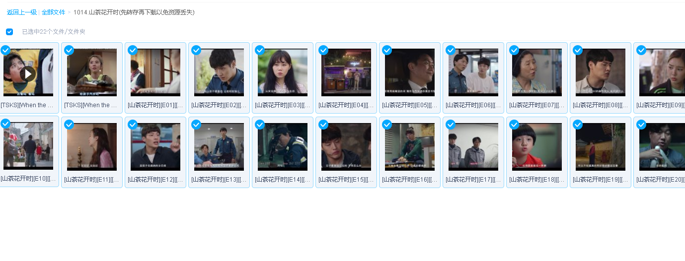 山茶花开时(先转存再下载以免资源丢失）