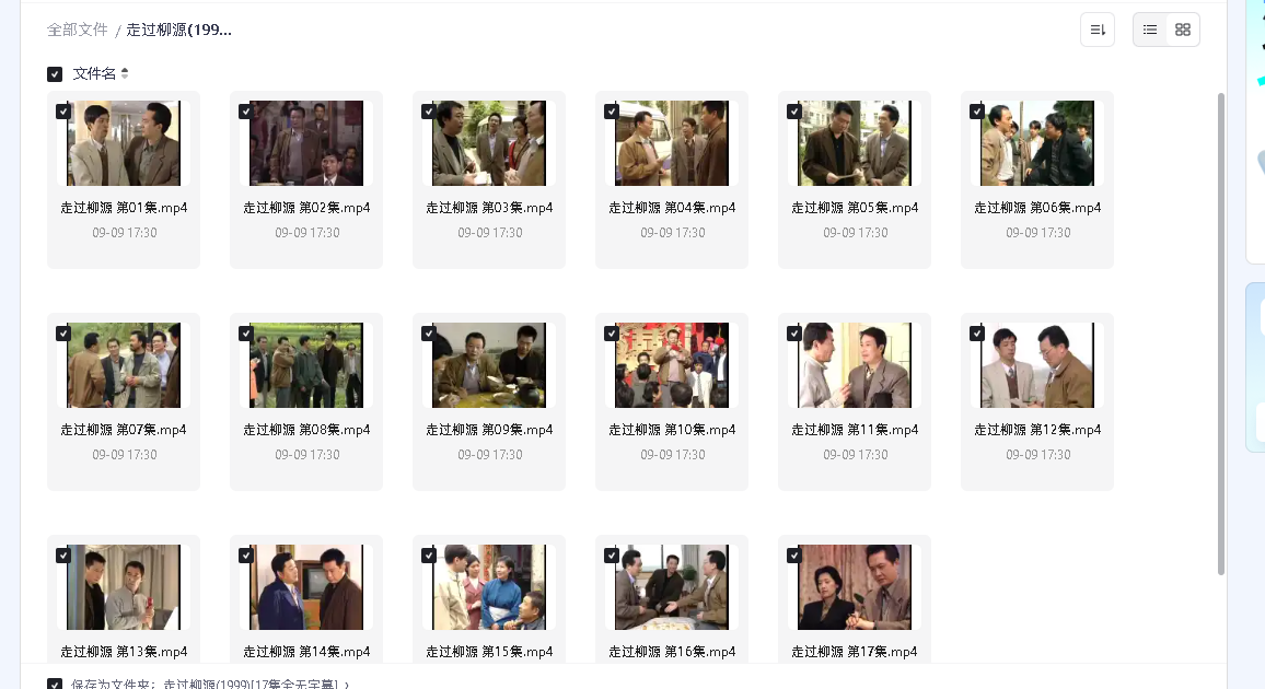 走过柳源(1999)[17集全无字幕](先转存再下载以免资源丢失）