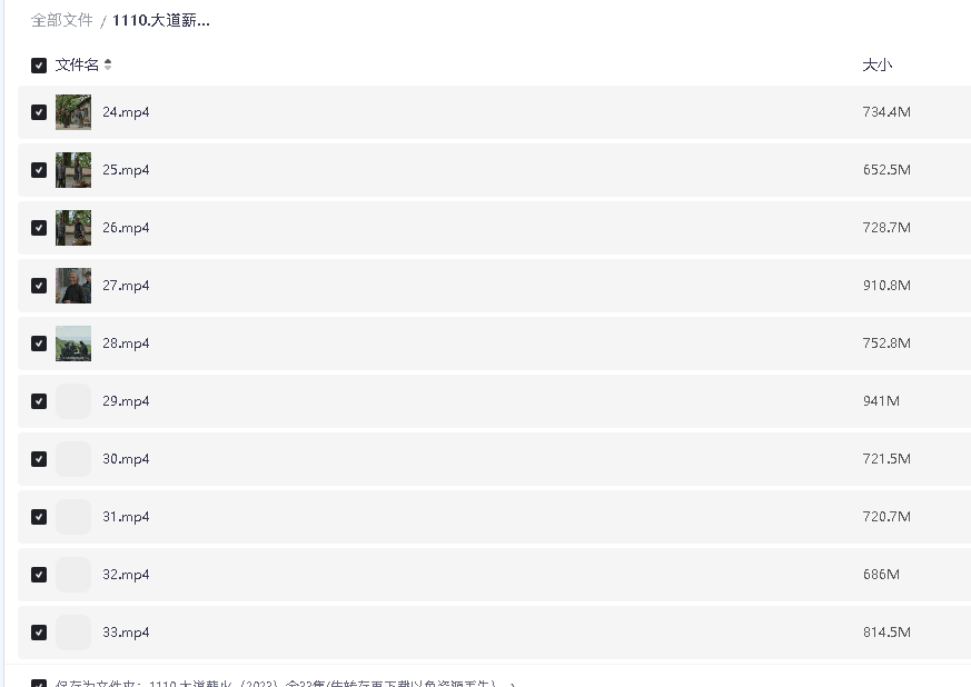 大道薪火（2023）全33集(先转存再下载以免资源丢失）