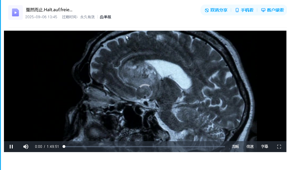 濒临边缘的人 Halt auf freier Strecke （戛然而止）(2011)(先转存再下载以免资源丢失）