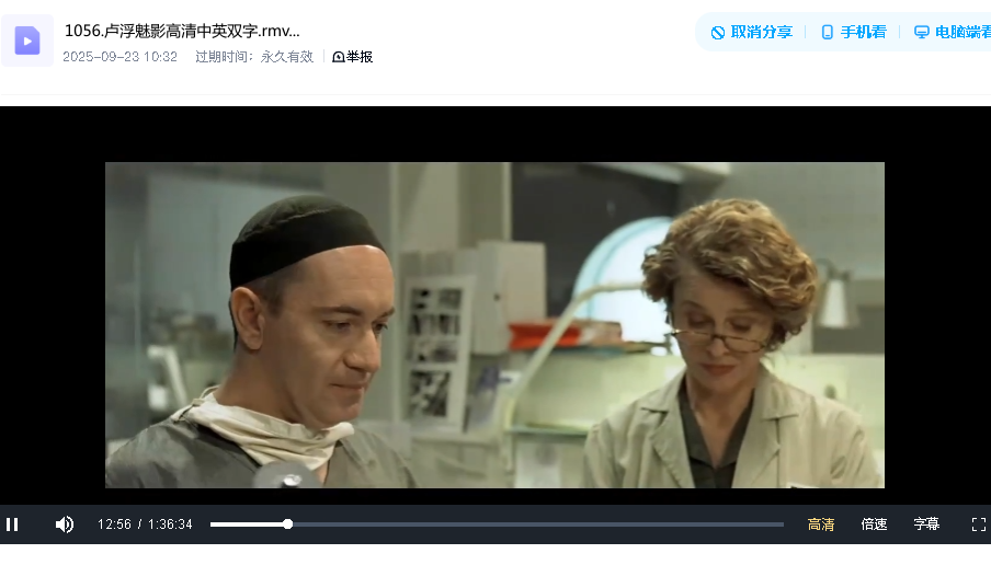 卢浮魅影高清中英双字(先转存再下载以免资源丢失）