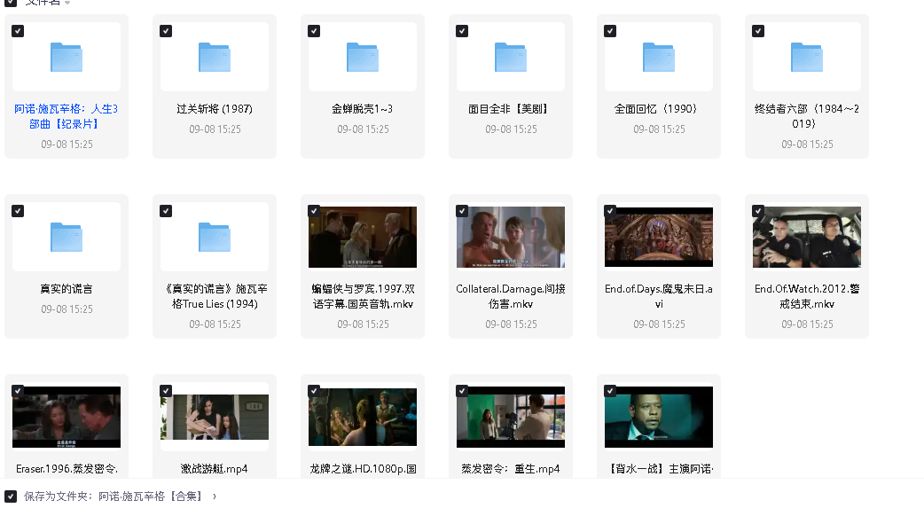 阿诺·施瓦辛格【合集】(先转存再下载以免资源丢失）