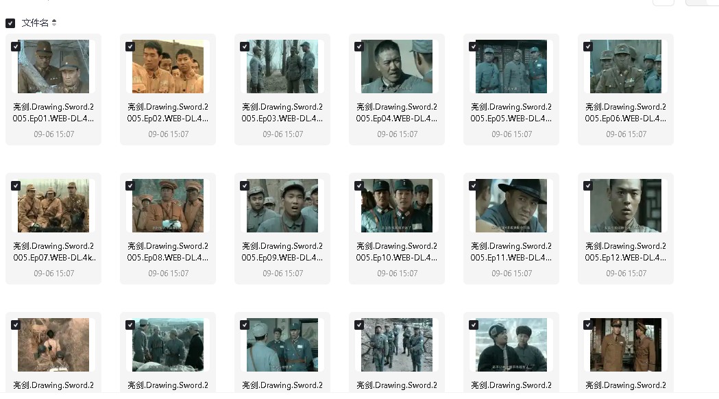 亮剑（2005）4K高清收藏版 全30集 国语中字 经典神剧(先转存再下载以免资源丢失）