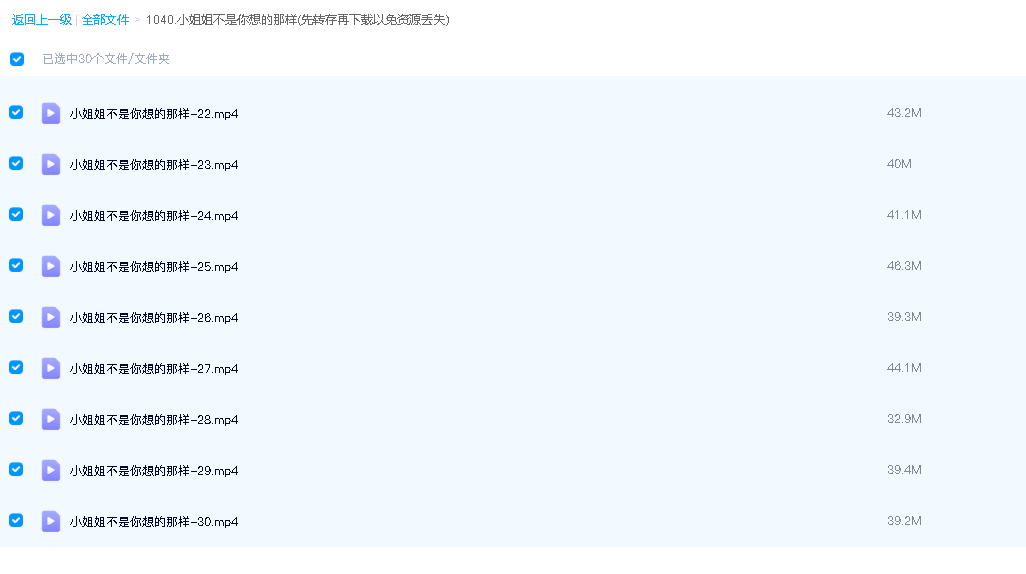 小姐姐不是你想的那样(先转存再下载以免资源丢失）