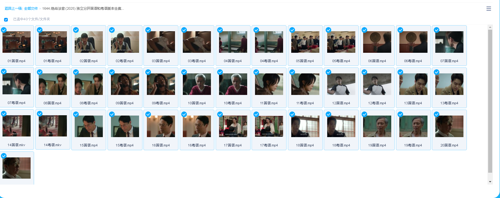 绝命法官 (2025) 独立分开国语和粤语版本全集20集(先转存再下载以免资源丢失）