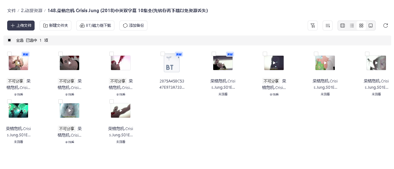 .荣格危机 Crisis Jung (2018)中英双字幕 10集全(先转存再下载以免资源丢失）