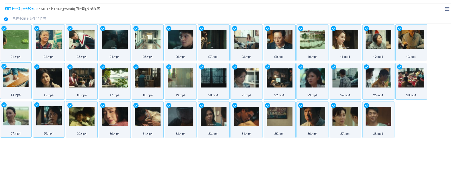 北上 (2025)[全38集][国产剧](先转存再下载以免资源丢失）