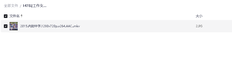 [工作女郎][2015][韩语中字][1080P][2.9G]韩影」(先转存再下载以免资源丢失）