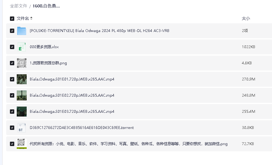 白色勇气 Biala odwaga (2023)Biala odwaga [Sezon 1] [Miniserial] [720p] (先转存再下载以免资源丢失）