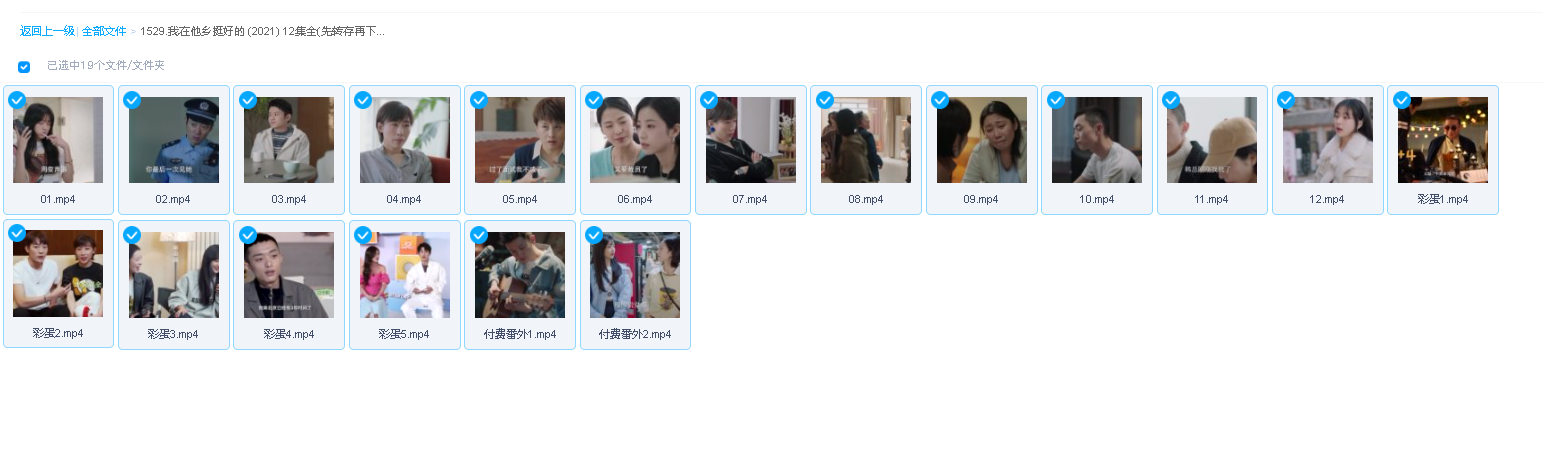 我在他乡挺好的 (2021) 12集全(先转存再下载以免资源丢失）