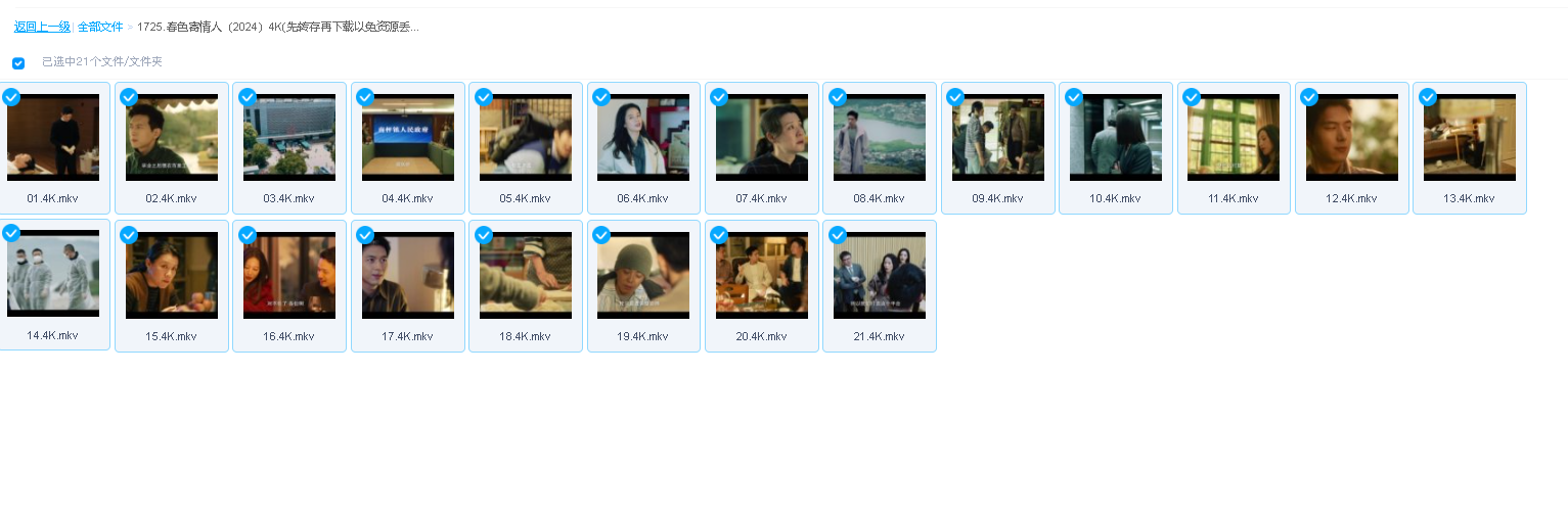 春色寄情人（2024）4K(先转存再下载以免资源丢失）