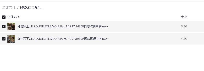 红与黑1997 中法双语 内嵌中文字(先转存再下载以免资源丢失）