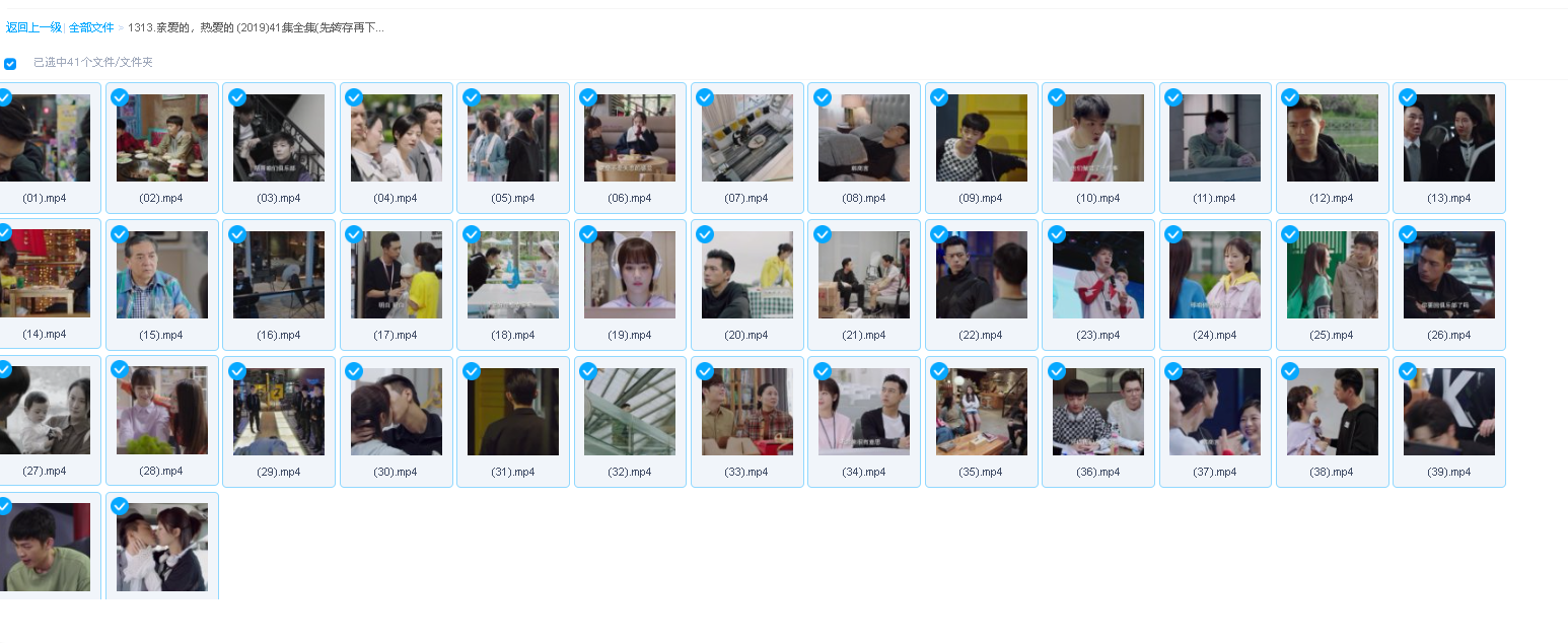 亲爱的，热爱的 (2019)41集全集(先转存再下载以免资源丢失）