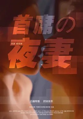 首席的夜妻(先转存再下载以免资源丢失）