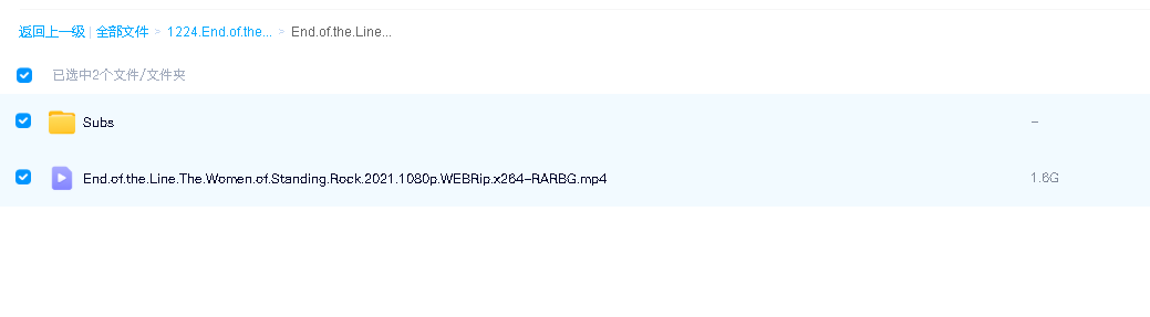 油管終結戰：立石蘇族的女守護者End.of.the.Line.The.Women.of.Standing.Rock.2021.1080p.(先转存再下载以免资源丢失）