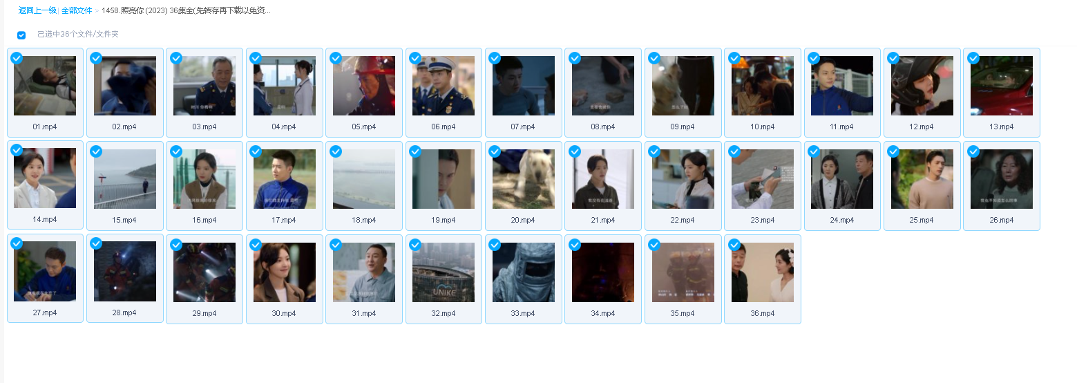 照亮你 (2023) 36集全(先转存再下载以免资源丢失）