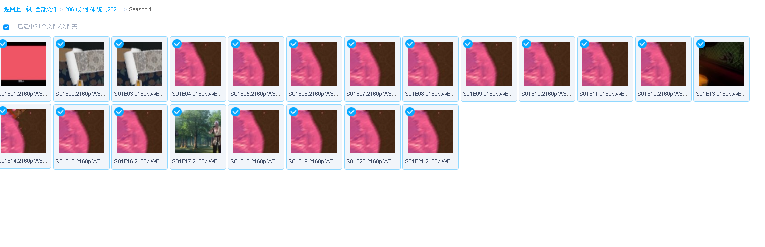 成.何.体.统（2024）4K 24集全集(先转存再下载以免资源丢失）