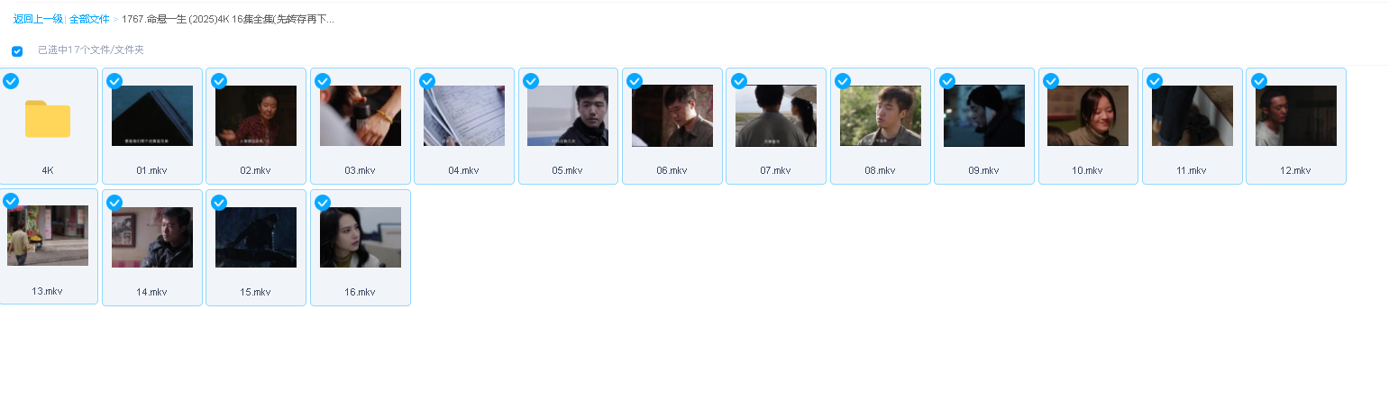 命悬一生 (2025)4K 16集全集(先转存再下载以免资源丢失）