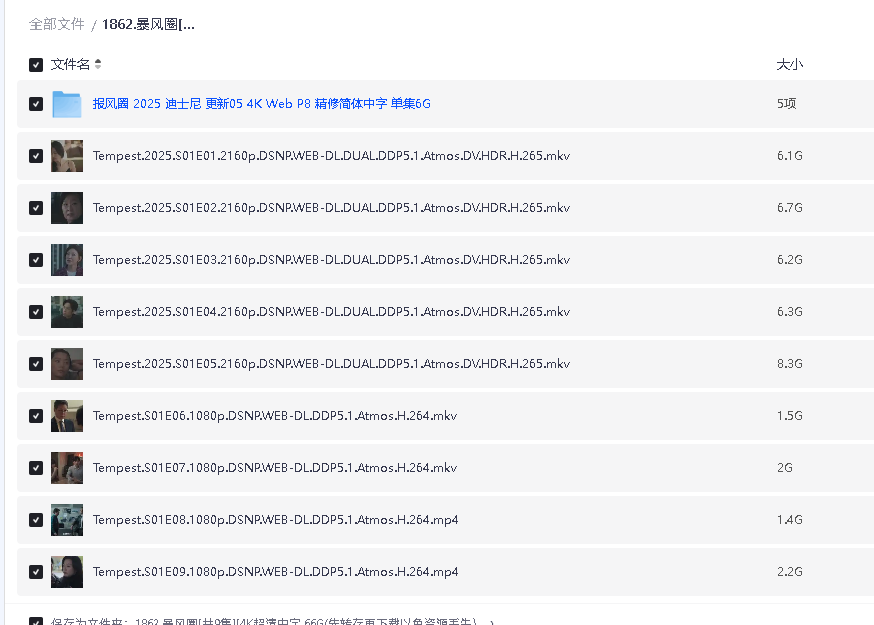 暴风圈[共9集][4K超清中字 66G(先转存再下载以免资源丢失）
