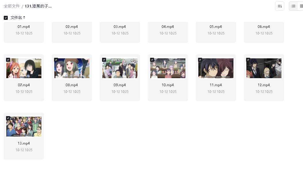 漆黑的子弹 ブラック・ブレット (2014)13集全(先转存再下载以免资源丢失）