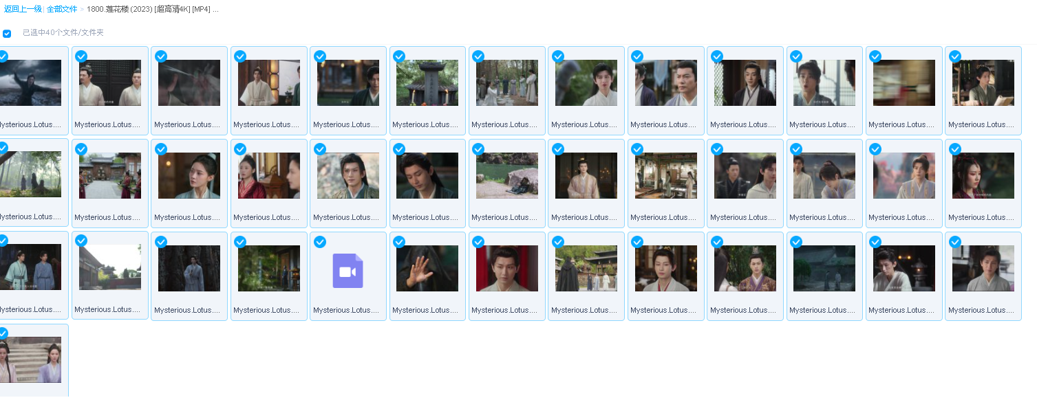 莲花楼 (2023) [超高清4K] [MP4] [单集5GB] [总205GB] [全40集] [国语中字] [已完结] (先转存再下载以免资源丢失）