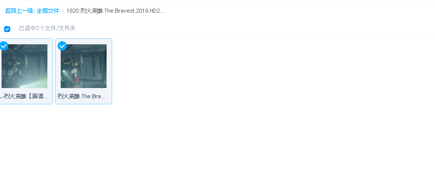 烈火英雄.The.Bravest.2019.HD2160P.X264.AAC.Mandarin.CHS