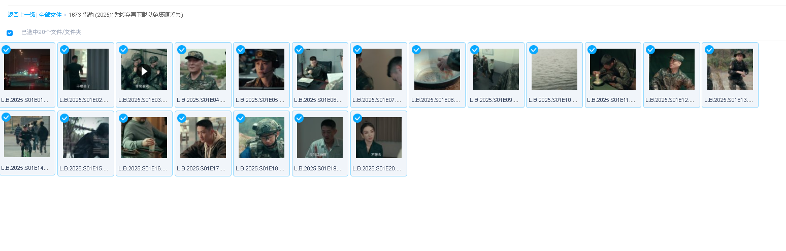 猎豹 (2025)(先转存再下载以免资源丢失）