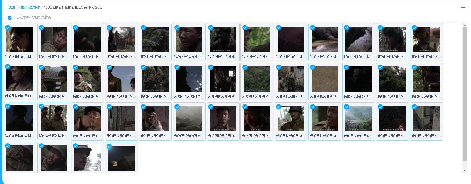 我的团长我的团.[My.Chief.My.Regiment.].2009.4K(先转存再下载以免资源丢失）