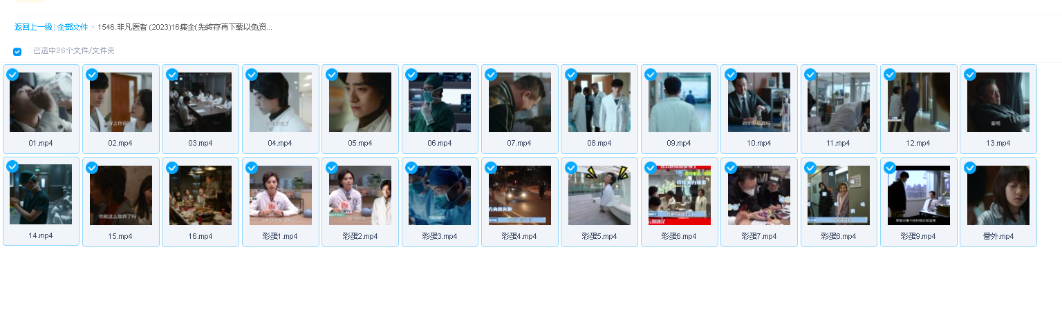 非凡医者 (2023)16集全(先转存再下载以免资源丢失）