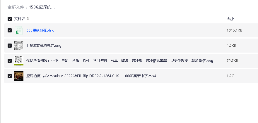 应尽的反击.Compulsus.2022.WEB-Rip.DDP2.0.H264.CHS - 1080P.英语中字(先转存再下载以免资源丢失）